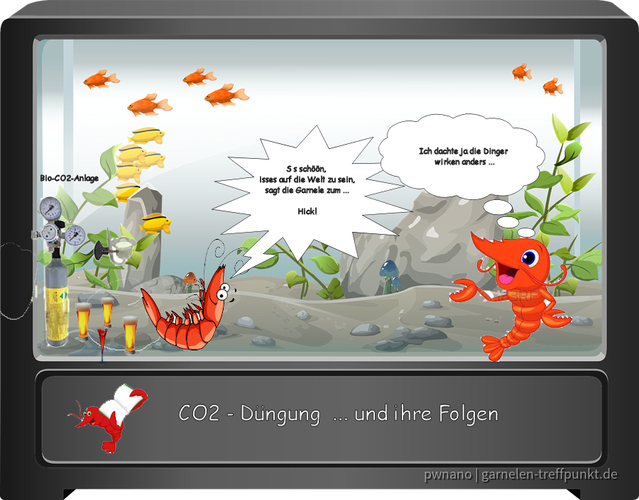 Die wichtigsten Wasserwerte - Comic 4 CO2 Düngung (erstellt mit PaintShop ProX8)