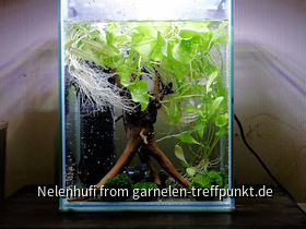 Entstehung meines Nano-Cubes