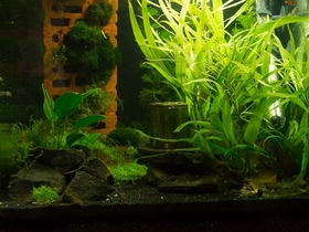 Bodenfilter 3